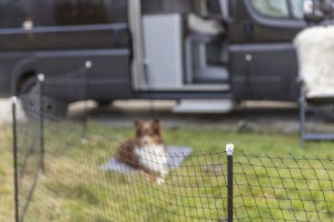 Trixie TRIXIE 39539, Safety net, Dog, Outdoor, Black, Iron, Plastic, Metal, Nylon, Powder coating 6