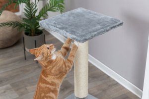 Trixie Baena scratching post, 69 cm, medium grey 4