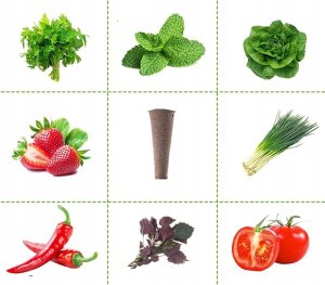 ROZSADA Zestaw STARTOWY INSPEKT Sadzonki 50 sztuk PODŁOŻE HYDROPONIKA 5