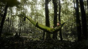 Telefon GSM myPhone Hammer 6 LTE Military Edition, GREEN / ZIELONY 11