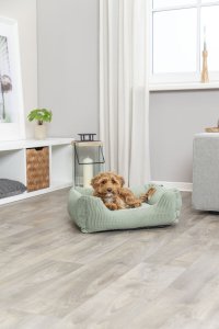 TRIXIE Marley, Bolster pet bed, Indoor, Dog, Green, Rectangular, Monochromatic 11