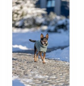 Trixie CityStyle Berlin pullover, L: 60 cm, sage 3