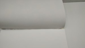 Clairefontaine Paint-On Blok A2 250gram 30 ark szary papier, wielotechnikowy, toplimet 6