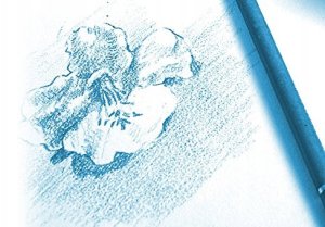 Clairefontaine Paint-On Blok A2 250gram 30 ark szary papier, wielotechnikowy, toplimet 8