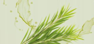 MOSSA_Preparat punktowy na niedoskonałości z Agrestem i Borówką 15ml 4