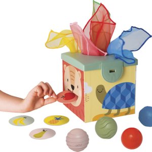 Veiklos dėžutė Taf Toys Magic box 1