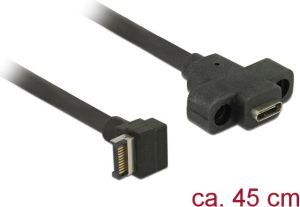 Delock USB 3.1 20 pin męski - USB 3.1 Gen 2 USB Type-C żeński, montowany na panelu, 45 cm (85326) 1