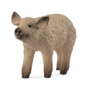 Schleich Mangalica Piglet 1