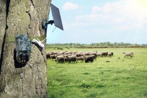 Technaxx 4G PT Dome TX-290 with solar panel, IP security camera, Outdoor, Wired, Wall, Black, Green, Dome 6