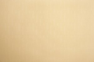 Domoletti ROLLER BLIND SHANTUNG 877 140X170 2