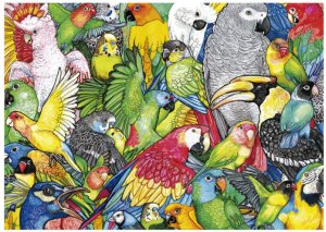 Educa 500 Parrots 1