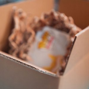 Noble Collection - Minecraft Potion Bottle Light 2