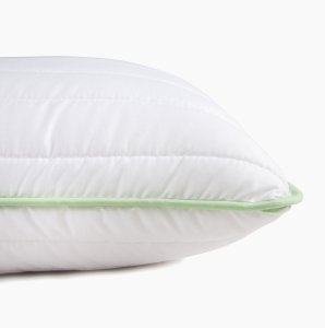 Pillow COMCO ALOE VERA, quilted, 60 x 60 cm, 100% polyester, 550 g 1