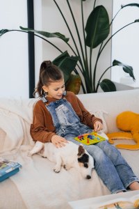 Logic game Brain Games, SMART DOG, LT 11