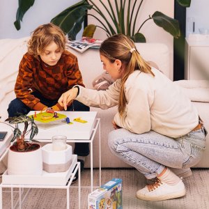 Logic game Brain Games, SMART DOG, LT 8