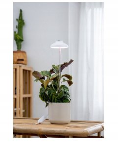 Airam Iris plant light, IP20, 5W, 240 lm, white 2