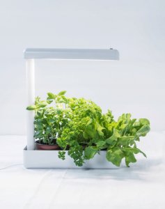 Airam Herby plant light, 10W/840, 650 lm, white 2