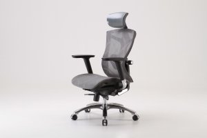 Sihoo V1 ergonomic office chair, gray 1