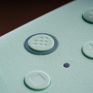 8BitDo Ultimate 2C Wireless Pad - wireless game controller, green, PC / Android 20