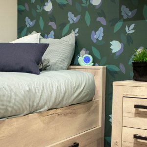 Alecto Baby Simon Snail sleep rhythm alarm clock, mint green 10