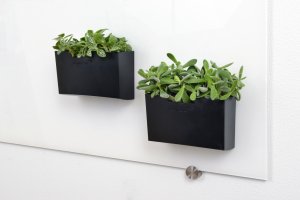 Legamaster glassboard accessory holder black, Board pen tray, Plastic, 250 g, 92 mm, 160 mm, 106 mm 4