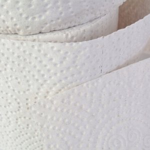 Gembird TOILET PAPER GRITE, 24 PCS. 5