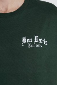 Koszulka Ben Davis Paisley Green 2