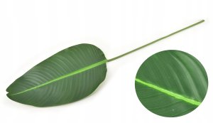 VIRIDIS Sztuczny kwiat 100x2,5cm Liść 1