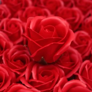 Czerwone Mydlane Róże - Komplet 50 sztuk w Pudełku 5