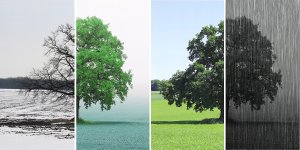 TrackMix Series G765 10