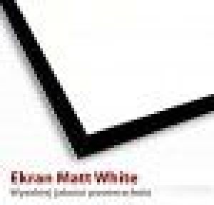 Ekran do projektora Art TS-100 4