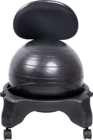 inSPORTline Krzesło z piłką rehabilitacyjne G-Chair z oparciem (10970) 3