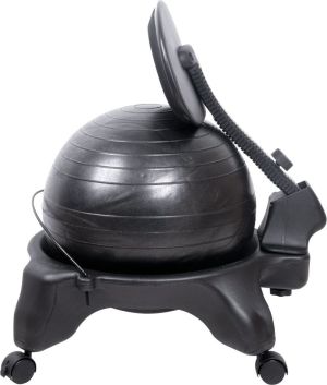 inSPORTline Krzesło z piłką rehabilitacyjne G-Chair z oparciem (10970) 4