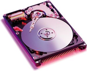 Dysk WD 2.5"  (WD3200BEVT) 1