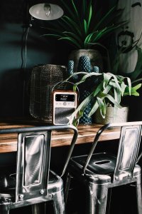 Radio View Quest Monty Orzech włoski 2