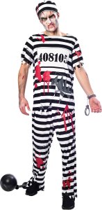 Zebra kostume 1