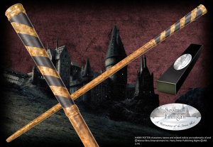 Seamus Finnigan tryllestav 1