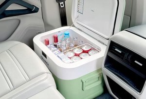 Bingi 22 l Elektryczna lodówka przenośna mini 12 V/24 V/220 V 2