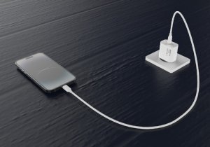 Lādētājs Gembird USB Type-C 20W USB Type-C Fast Charger White 8716309133890 5