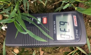 PH-metr do gleby VOLTCRAFT PH-212, 0 - 13 pH 101122 10