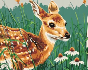 Malowanie po numerach - Sarna w trawie 40x50cm 2