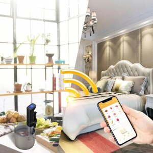 CIRCULATOR INKBIRD ISV-100W 8