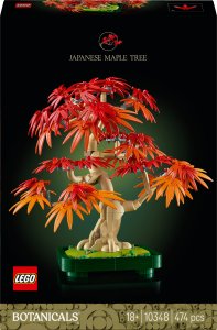 Botanicals Klon palmowy bonsai (10348) 1