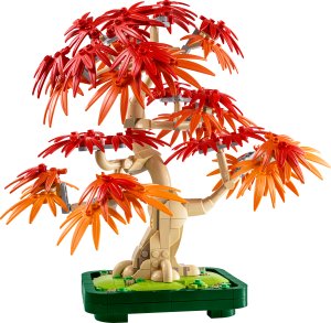 Botanicals Klon palmowy bonsai (10348) 8