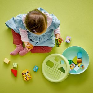 Duplo Sorter kształtów: dom szczeniaczków (10441) 3