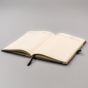 Notes w formacie A5 Peterson PTN NOT-6-LN wzór 1 7