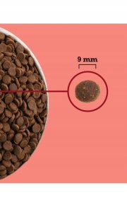 ACANA Highest Protein Indoor Cat 1,8kg 3