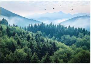 Fototapeta 3D Góry Las Mgła Natura Sypialnia Salon Tapeta Flizelina 400X280 1