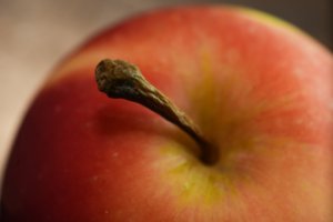 Obiektyw Laowa 100 mm f/2,8 Tilt-Shift 1x Macro do Sony E 26