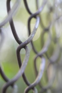 Obiektyw Laowa 100 mm f/2,8 Tilt-Shift 1x Macro do Nikon Z 24